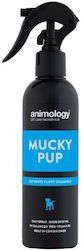 Animology Shampoo Dog