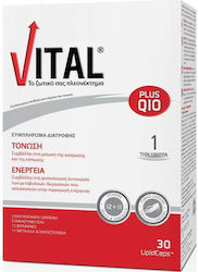 Vital Plus Q10 Βιταμίνη για Ενέργεια & το Ανοσοποιητικό 10mg 30 μαλακές κάψουλες