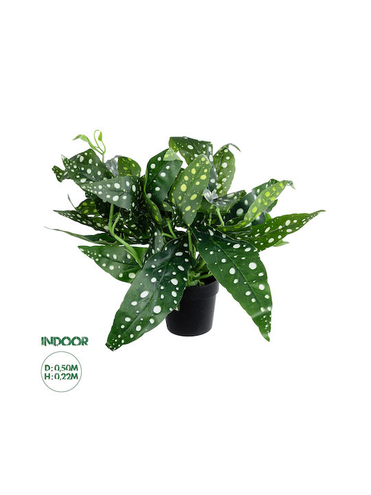 Globostar Artificial Garden Begonia Polka Dot Plant 20959 Decorative Plant Begonia D50 X H22cm