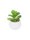 Artificial Plant in Small Pot Kalanchoe Green 10cm GloboStar