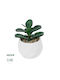 Globostar Artificial Garden Succulent Kalanchoe Potted Plant 20994 Διακοσμητικό Φυτό Καλαχόη Φ8 X Υ10cm