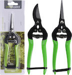 Pruning Shears