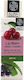 Aura Greca Sweet Cherry Lip Balm SPF10 Cherry 4gr