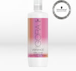 Activator Colour Activator 6Vol 1000ml