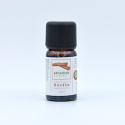 Essential Oil Cinnamon Edible 10ml