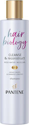 Pantene Pro-V Cleanse & Reconstruct 250ml Pantene Pro-V Cleanse & Reconstruct 250ml