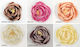 Decorative Element for Wedding Favors Ecru 25pcs
