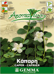 Gemma Seeds Capparis