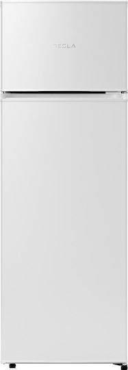 Tesla Kühlschrank mit Doppeltür 235Es H159xB55xT55cm. Weiß RD2400ME