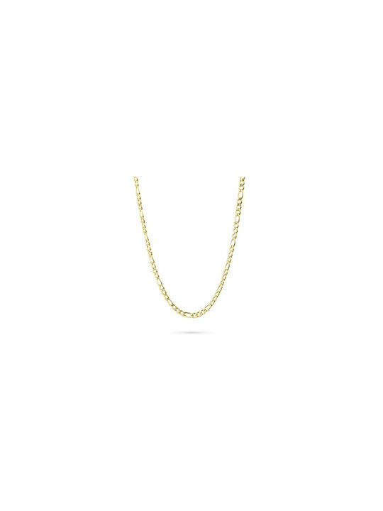 Radiant Chain Neck Gold-plated