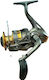 Fischrolle 31243