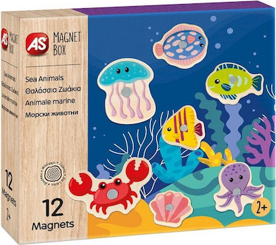 Magnet Box Sea Animals 1029-64041