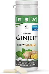 Lemon Pharma mit Geschmack Ingwer mit Minze Vegan 20Stück Lemon Pharma mit Geschmack Ingwer mit Minze Vegan 20Stück