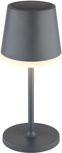 Globo Lighting Соларна Светлина 3000К IP44