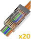 Sinet CAT6 EZ (30μ Gold Plated) Βύσμα RJ-45 male Χρυσό (SN-CAT6-EZRJ45S-20)