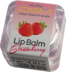 DSM Lip Balm DSM Lip Balm