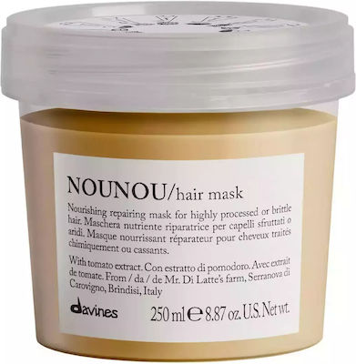 Davines Nounou Repairing Hair Mask 250ml