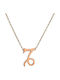 Goldsmith Zodiac Sign Capricorn from Pink Gold Plated Silver