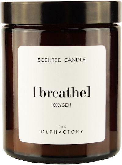Ambientair Aromatic Candle in Jar Breathe