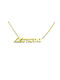 Stainless Steel Necklace Name Despina Gold 1pc