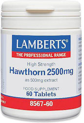 Lamberts Hawthorn 2500mg 60 tabs