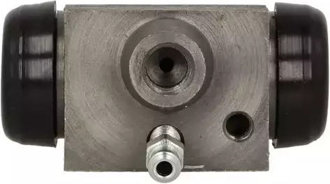 Piston cilindru principal frână Dacia Sandero Ate 24321717113