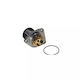 Water Pump Opel Vectra C Gts Airtex 5079