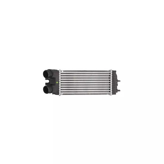 Intercooler Citroen Xsara Picasso N68 Ava Quality Cooling Cn4269