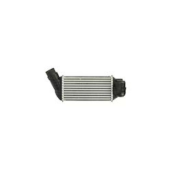 Intercooler Citroen Ds4 Ava Calitate Cooling Pe4341