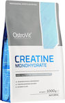 OstroVit Creatine Monohydrate Green Apple 1000gr