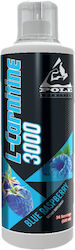 Pole Nutrition L-Carnitine 3000 Pole Nutrition L-Carnitine 3000