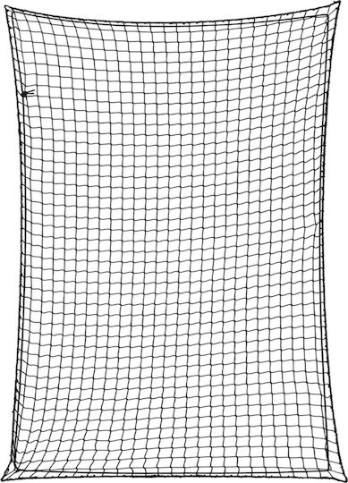 vidaXL Δίχτυ Αποσκευών Αυτοκινήτου 250x250cm Μαύρο