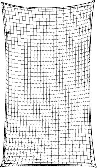 vidaXL Δίχτυ Αποσκευών Αυτοκινήτου 200x200cm Μαύρο