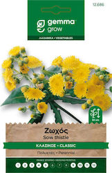 Gemma Seeds Sonchus 0.3gr