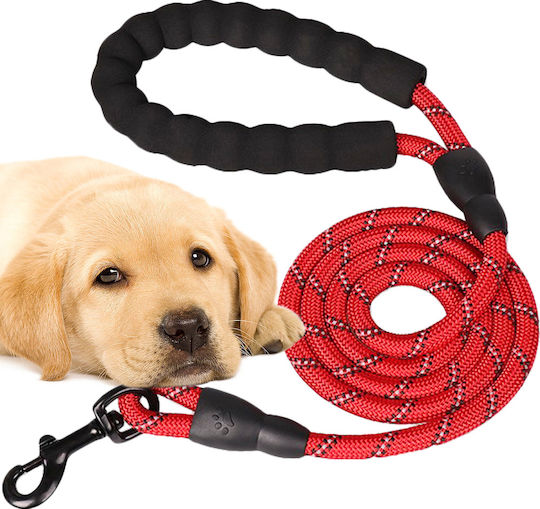 Foldable Dog Leash/Lead Strap in Red color