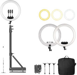 Ring Ring Light 6151116452420