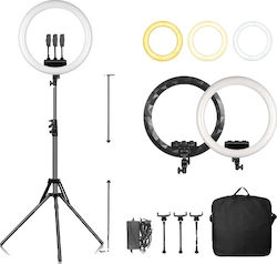 Ring Ring Light 45.72cm 6151112758748