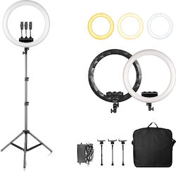 Ring Ring Light 6151014649687