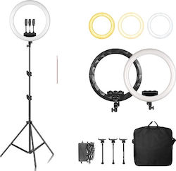 Ring Ring Light 45.72cm 6151112760741