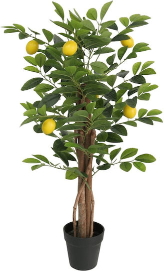 Zitronenbaum im Freien 85cm vidaXL