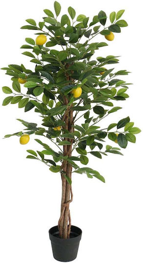 Zitronenbaum Im Freien 120cm vidaXL