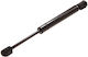 Kofferraumstoßdämpfer Seat Toledo II 1M2 Stabilus 018565