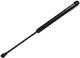 Trunk Shock Absorber Nissan Primera Combi Wp12 Stabilus 018787