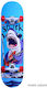 Athlopaidia Complete Shortboard 12.2" Blue Shar...