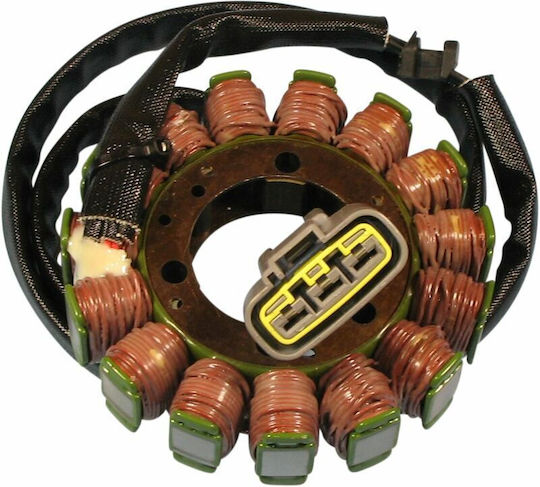 Ricks Motorsport Electric Βολάν Μοτοσυκλέτας 21-234