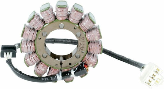 Ricks Motorsport Electric Βολάν Μοτοσυκλέτας 21-232