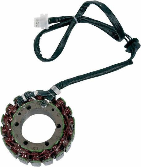 Ricks Motorsport Electric Βολάν Μοτοσυκλέτας 21-405