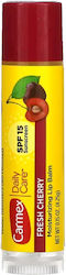 Carmex Lip Balm 4.25gr Carmex Lip Balm 4.25gr