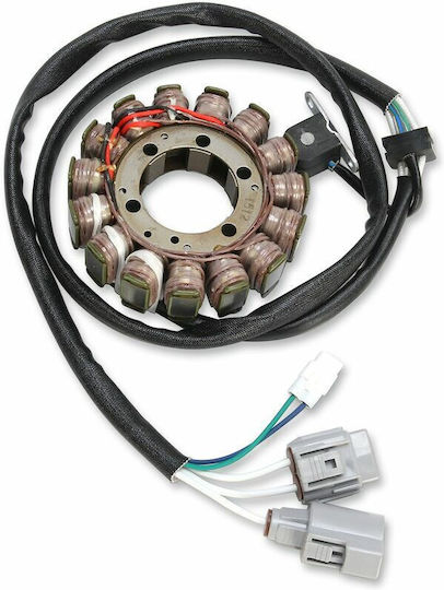 Ricks Motorsport Electric Volan Motorrad 21-725