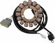 Ricks Motorsport Electric Volan Motorcycle 21-922